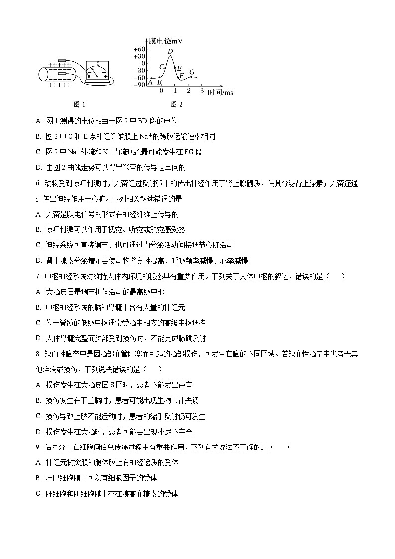 四川省内江市第六中学2023-2024学年高二下学期入学考试生物试卷（Word版附解析）02