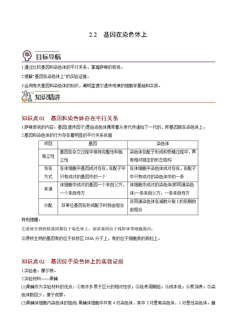 2.2 基因在染色体上-高一生物同步精品讲义（人教必修2）01