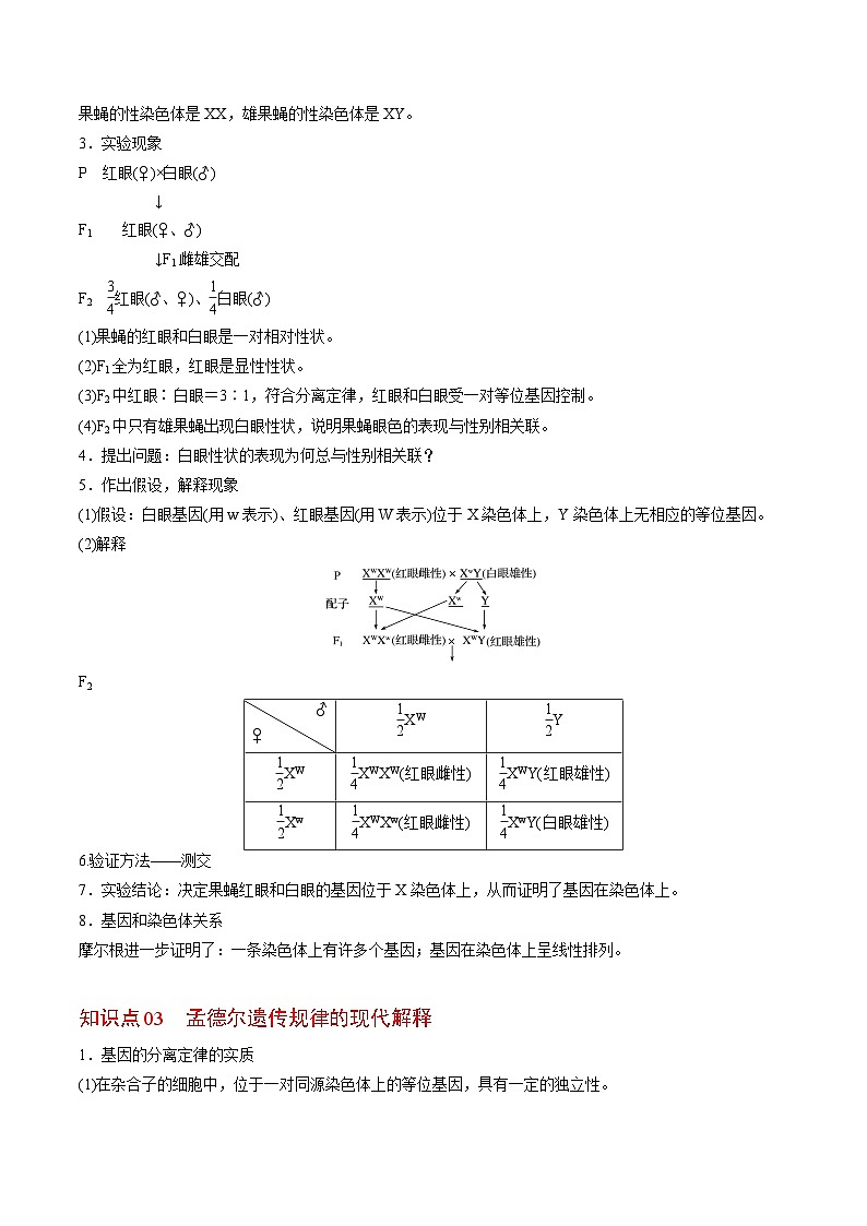 2.2 基因在染色体上-高一生物同步精品讲义（人教必修2）02