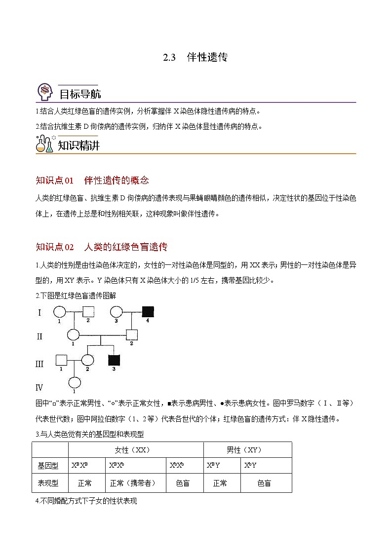 2.3 伴性遗传-高一生物同步精品讲义（人教必修2）01