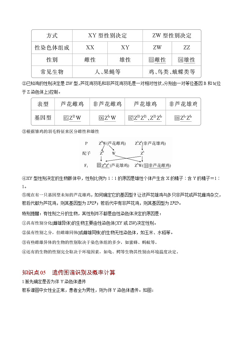 2.3 伴性遗传-高一生物同步精品讲义（人教必修2）03