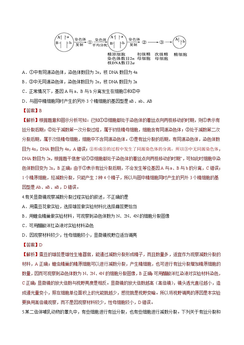 第2章 章末检测-高一生物同步课堂帮帮帮（人教版必修2）02