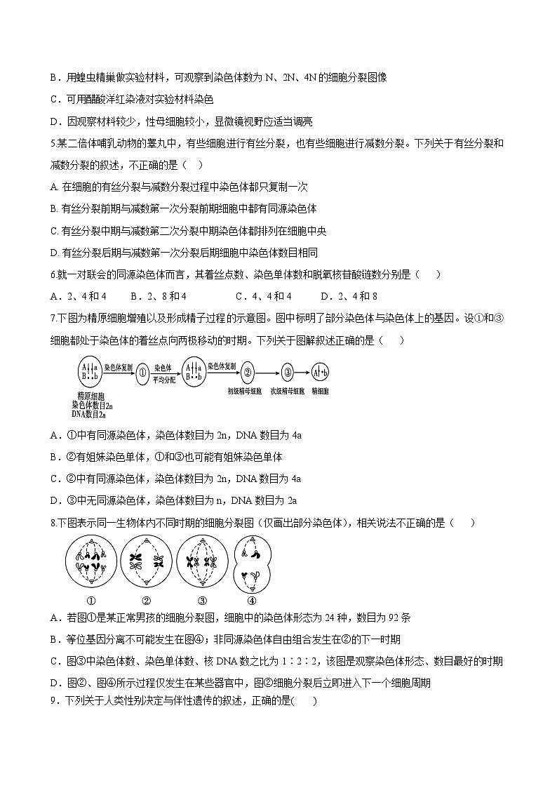 第2章 章末检测-高一生物同步课堂帮帮帮（人教版必修2）02