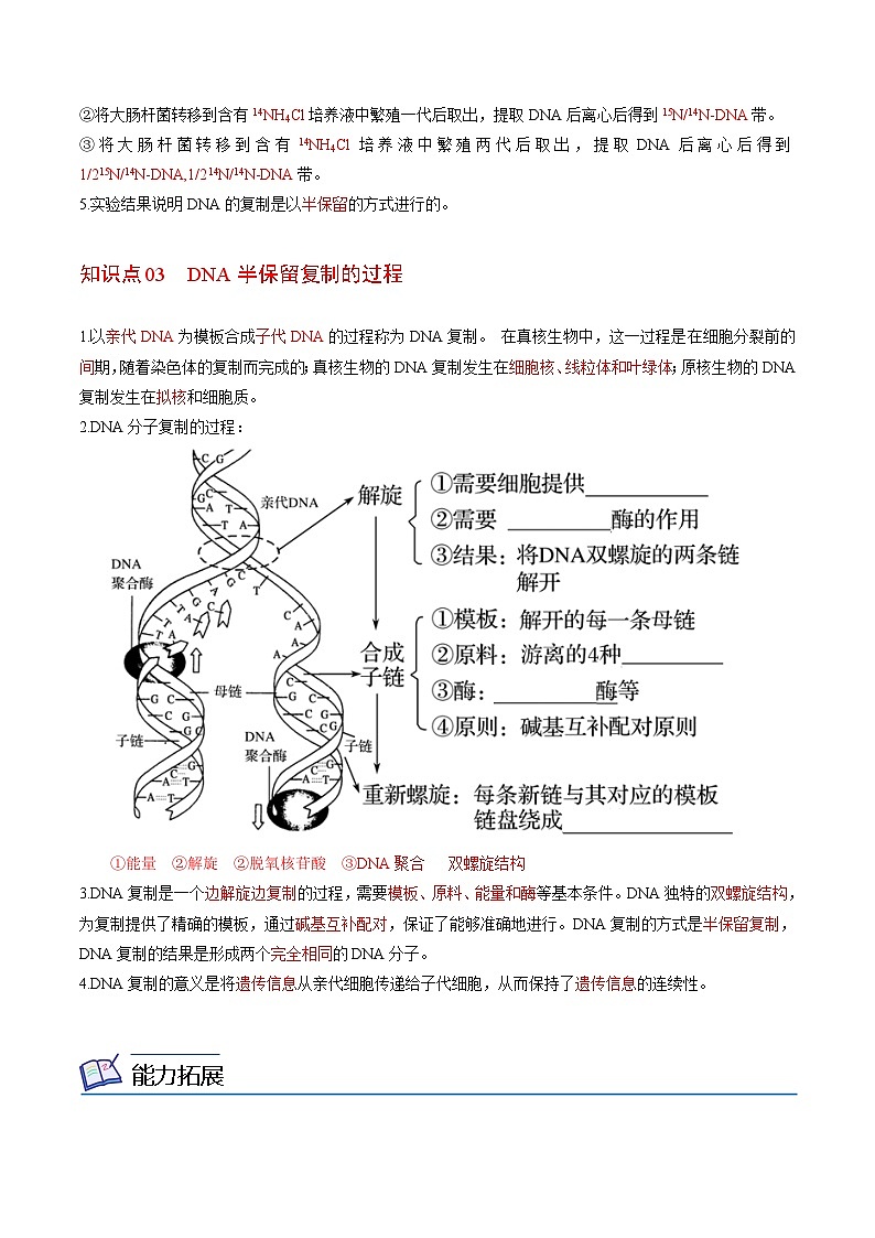 3.3 DNA的复制（教师版）-高一生物同步精品讲义（人教必修2）第2页