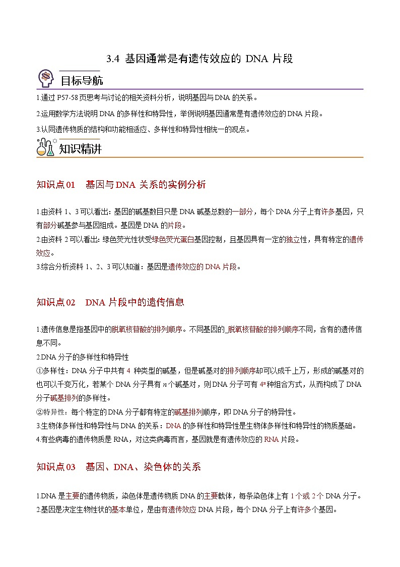 3.4 基因通常是有遗传效应的DNA片段-高一生物同步精品讲义（人教必修2）01