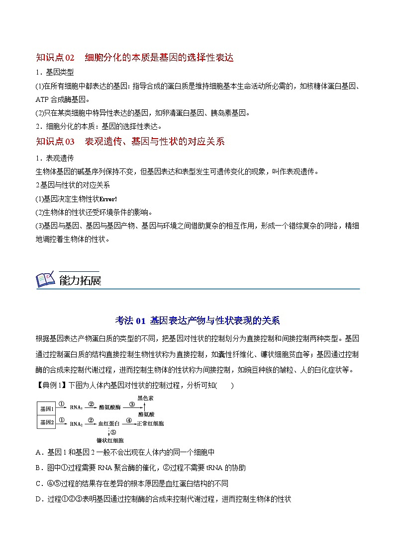 4.2 基因表达与性状的关系（教师版）-高一生物同步精品讲义（人教必修2）第2页