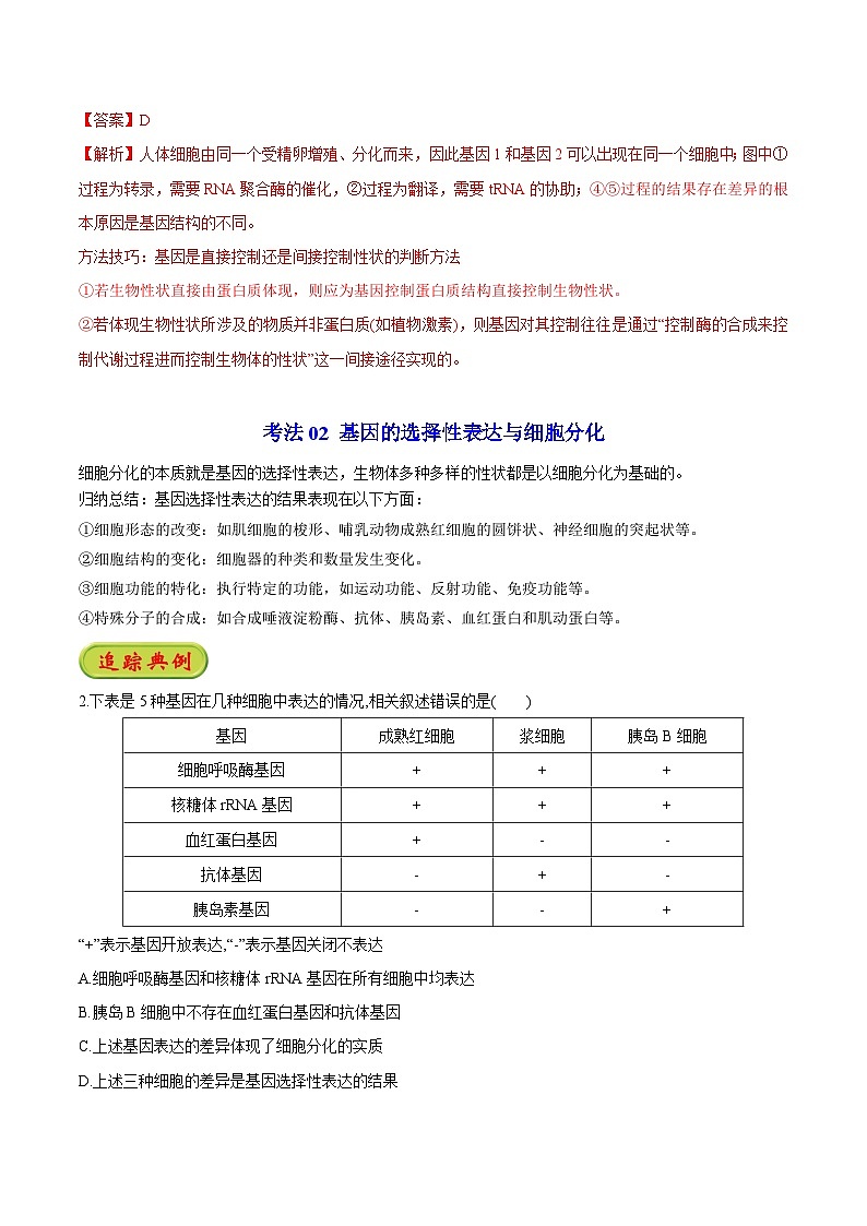 4.2 基因表达与性状的关系（教师版）-高一生物同步精品讲义（人教必修2）第3页