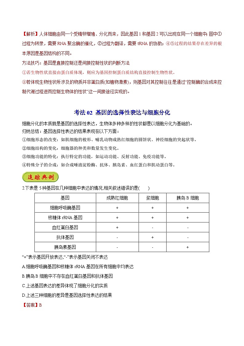 4.2 基因表达与性状的关系（学生版）-高一生物同步精品讲义（人教必修2）第3页