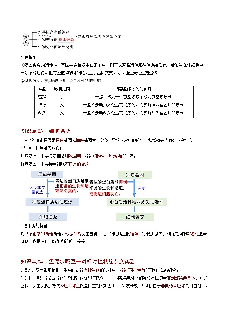 5.1 基因突变和基因重组-高一生物同步精品讲义（人教必修2）03