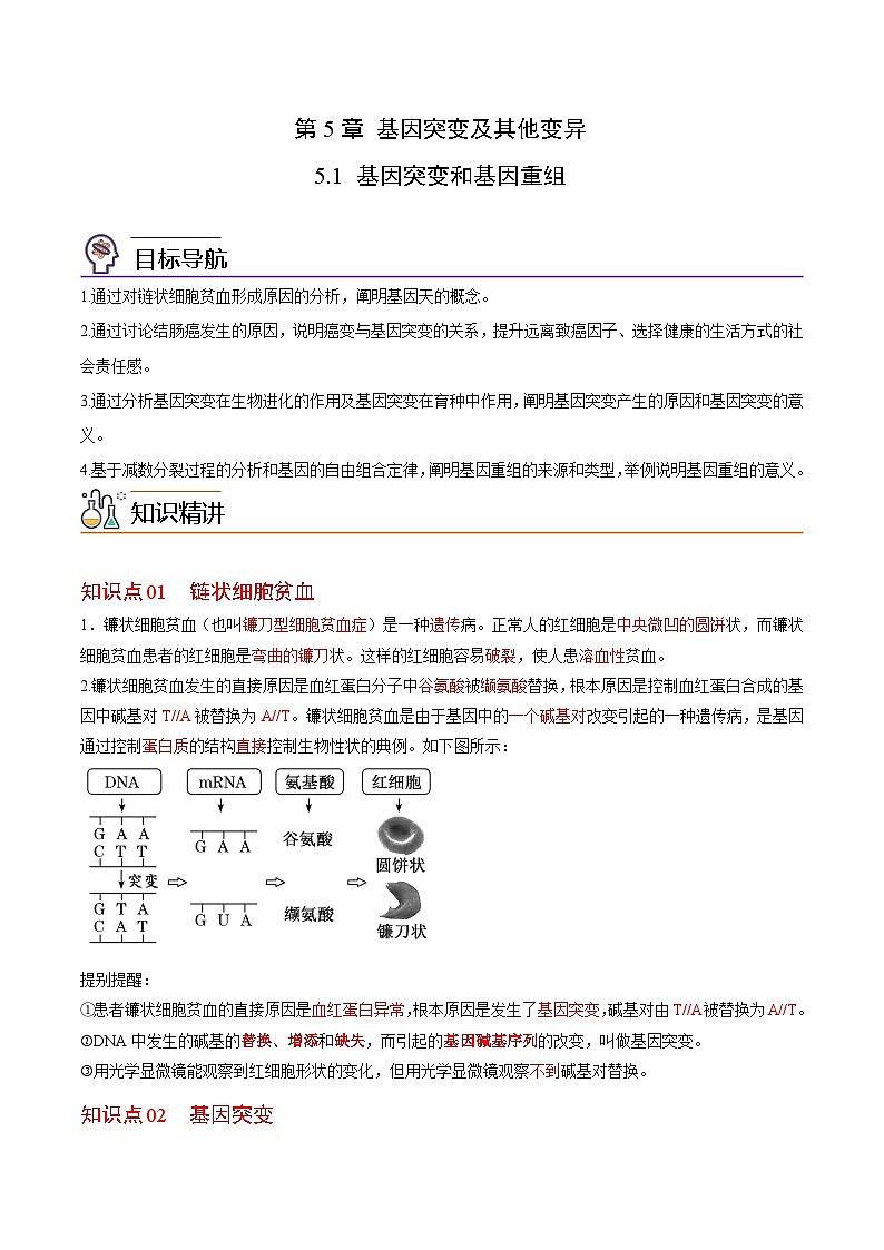 5.1 基因突变和基因重组-高一生物同步精品讲义（人教必修2）01