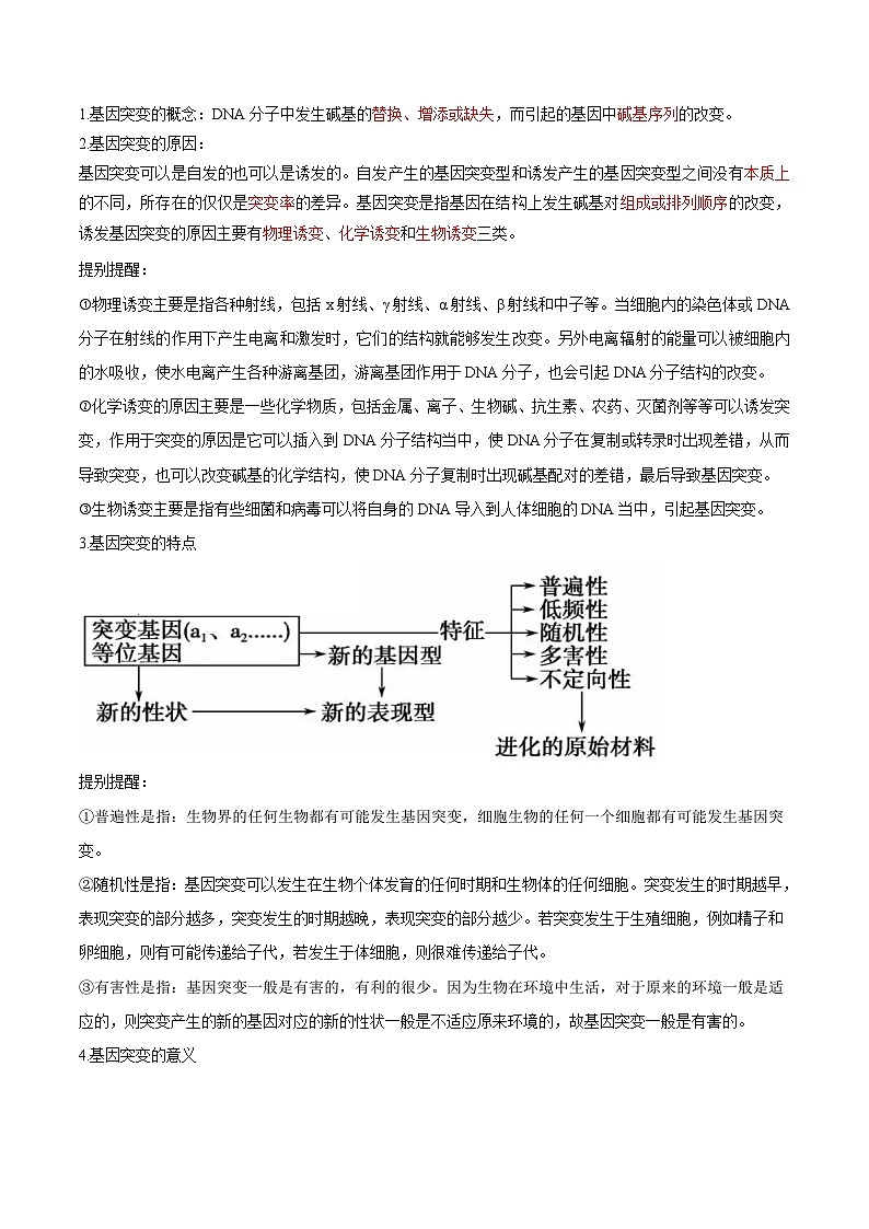 5.1 基因突变和基因重组-高一生物同步精品讲义（人教必修2）02