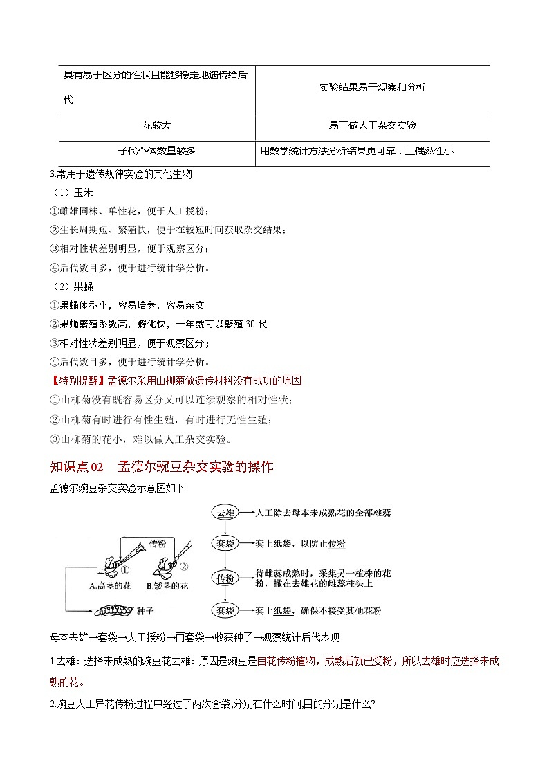 1.1 孟德尔豌豆的杂交实验（一）（第1课时）（教师版）-高一生物同步精品讲义（人教必修2）第2页