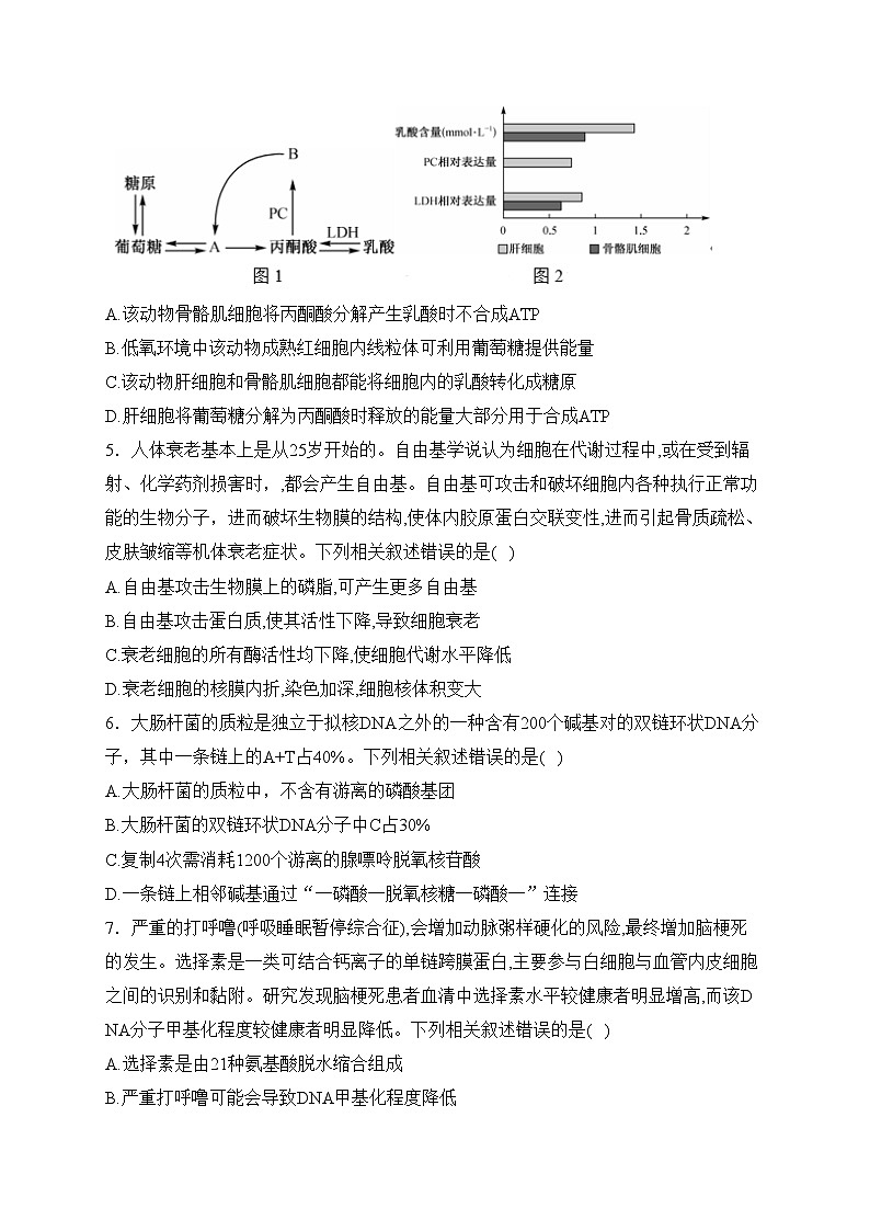 安徽省江淮名校2024届高三上学期期末联考生物试卷(含答案)02