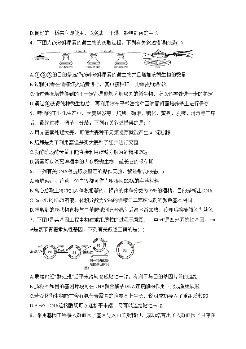 高邮市临泽中学2023-2024学年高二下学期3月月考生物试卷(含答案)第2页