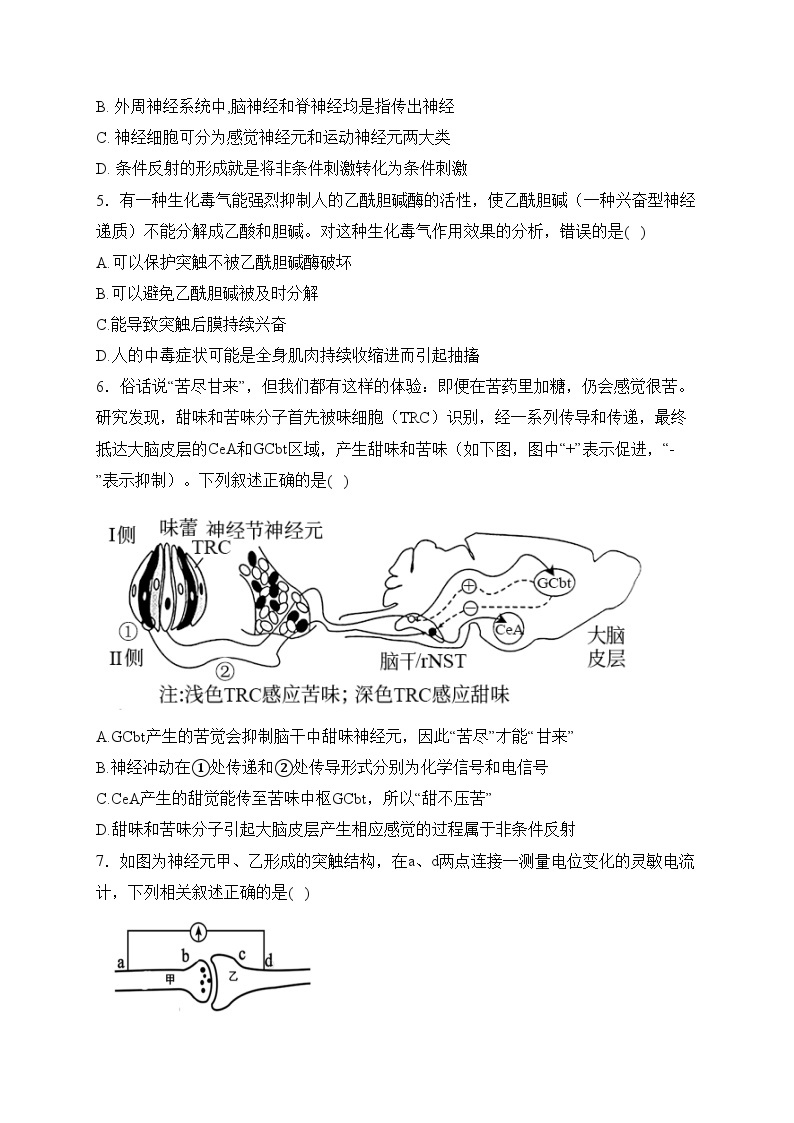 河北省大名县第一中学2022-2023学年高二上学期第一次月考生物试卷(含答案)02