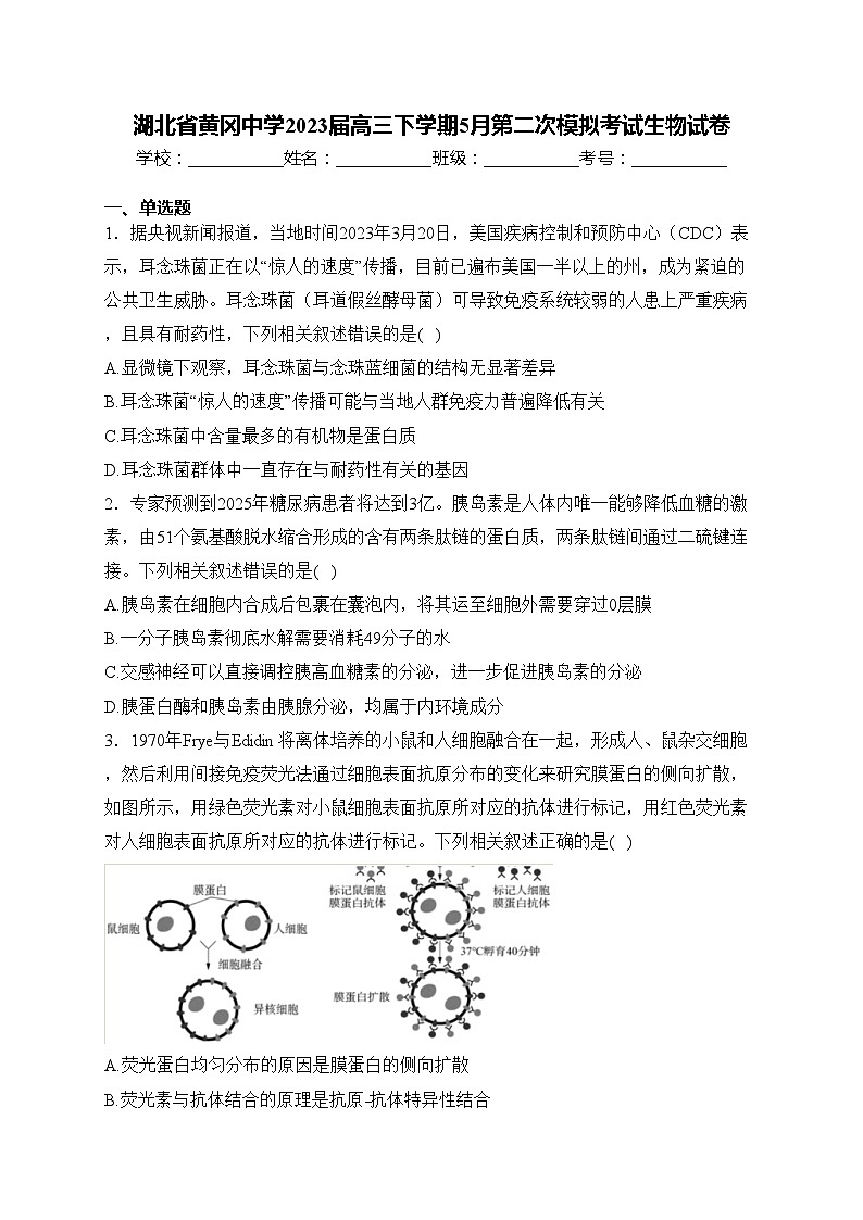 湖北省黄冈中学2023届高三下学期5月第二次模拟考试生物试卷(含答案)01