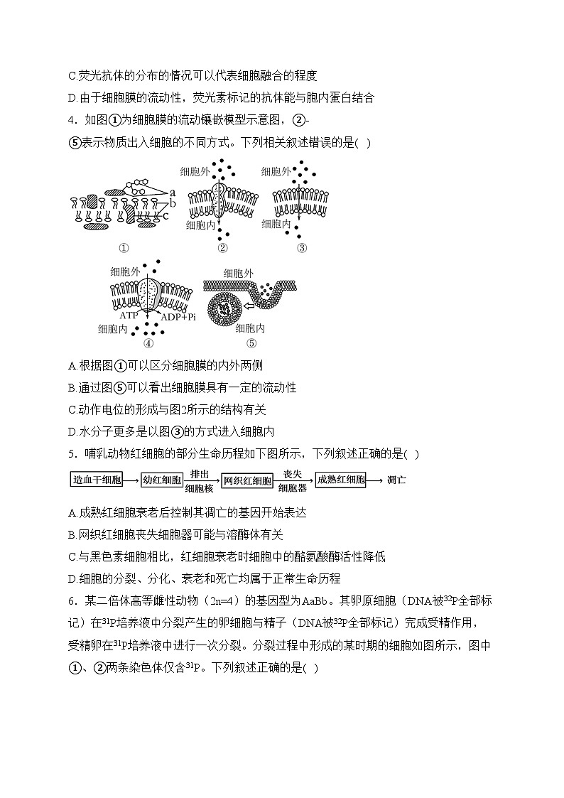湖北省黄冈中学2023届高三下学期5月第二次模拟考试生物试卷(含答案)02