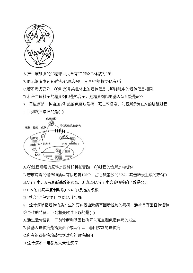 湖北省黄冈中学2023届高三下学期5月第二次模拟考试生物试卷(含答案)03