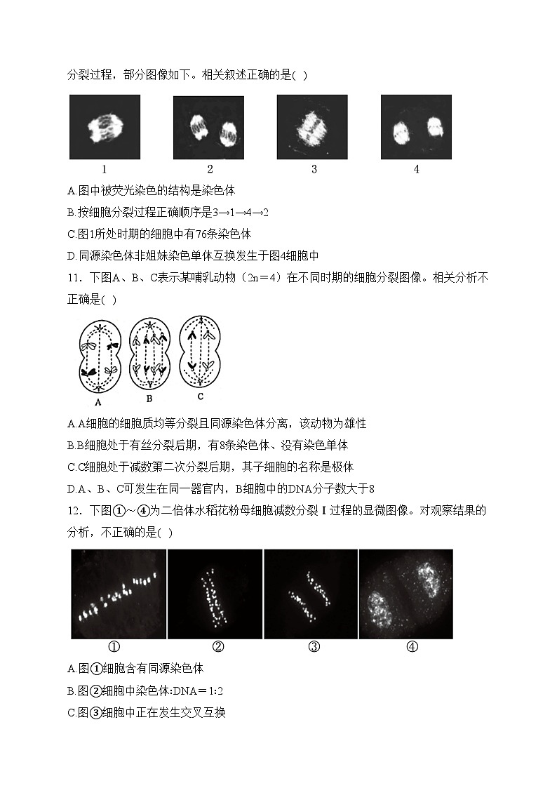 江苏省镇江第一中学2022-2023学年高一下学期3月检测生物试卷(含答案)第3页