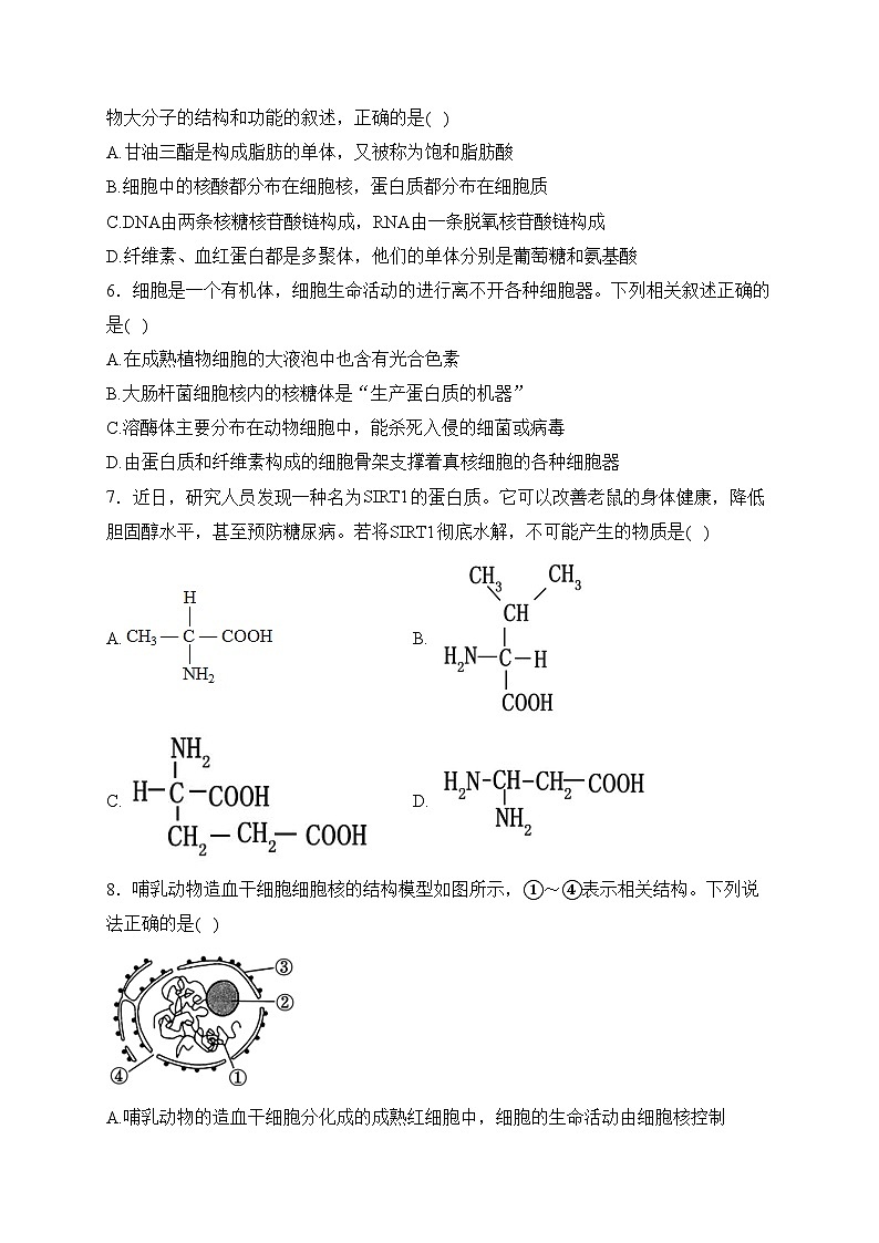 辽宁省丹东市2023-2024学年高一上学期期末质量检测生物试卷(含答案)02