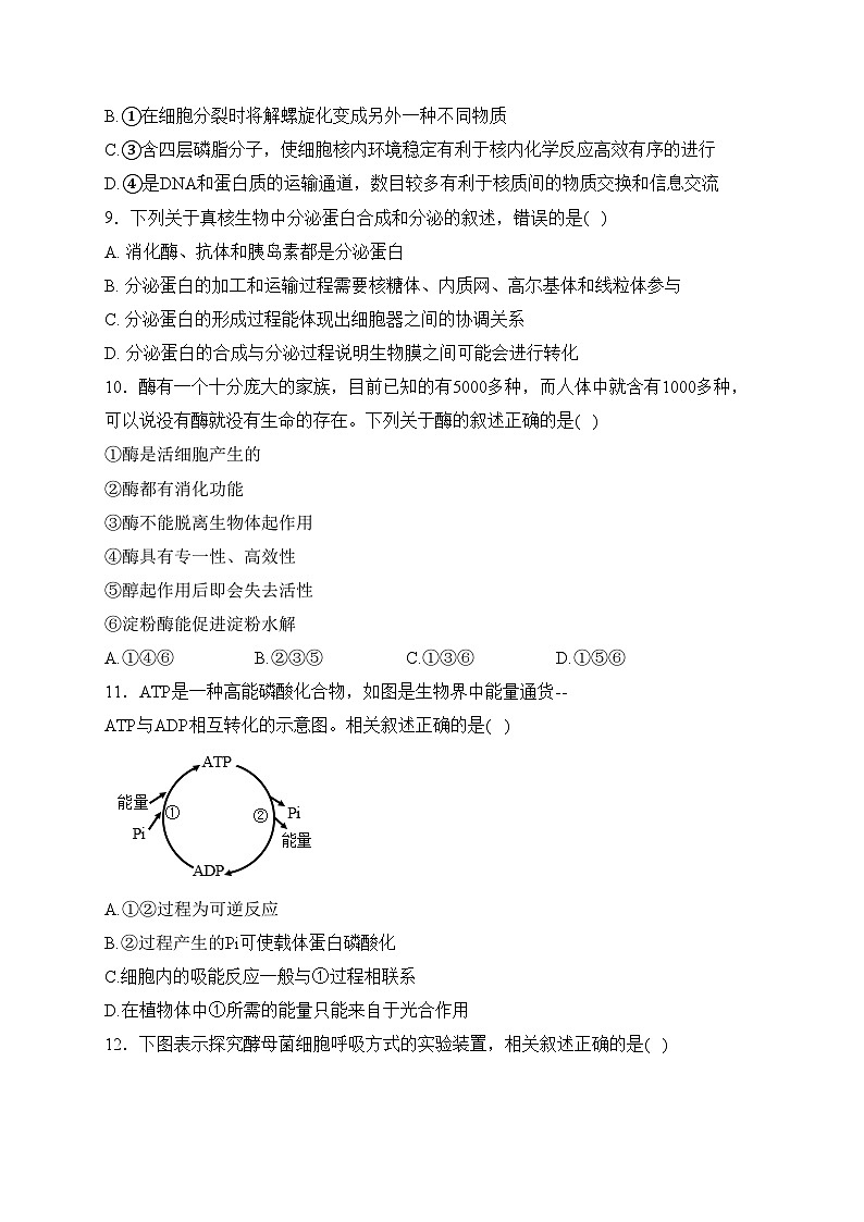 辽宁省丹东市2023-2024学年高一上学期期末质量检测生物试卷(含答案)03