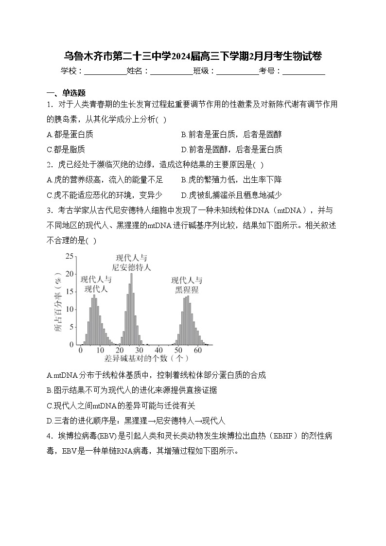 乌鲁木齐市第二十三中学2024届高三下学期2月月考生物试卷(含答案)第1页