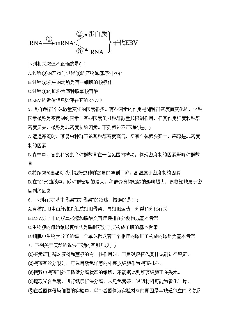 乌鲁木齐市第二十三中学2024届高三下学期2月月考生物试卷(含答案)第2页