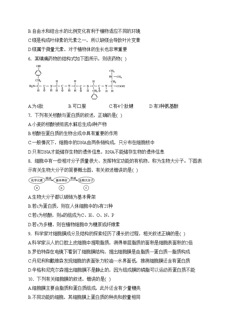自贡市蜀光中学2023-2024学年高一下学期开学考试生物试卷(含答案)02