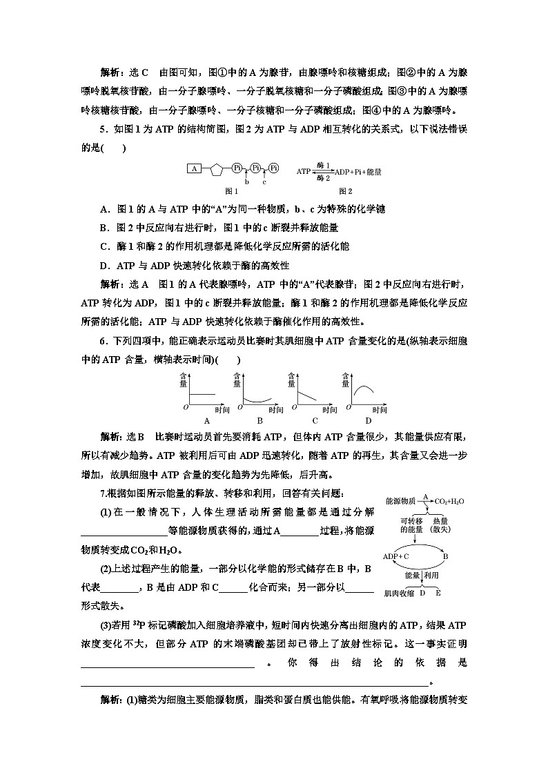 人教版高中生物必修1课时跟踪检测（十八）细胞的能量“货币”ATP含答案02
