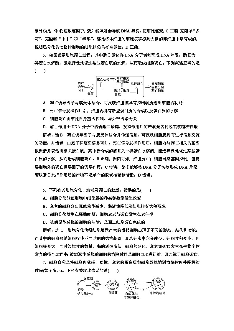 人教版高中生物必修1课时跟踪检测（二十七）细胞的衰老和死亡含答案02