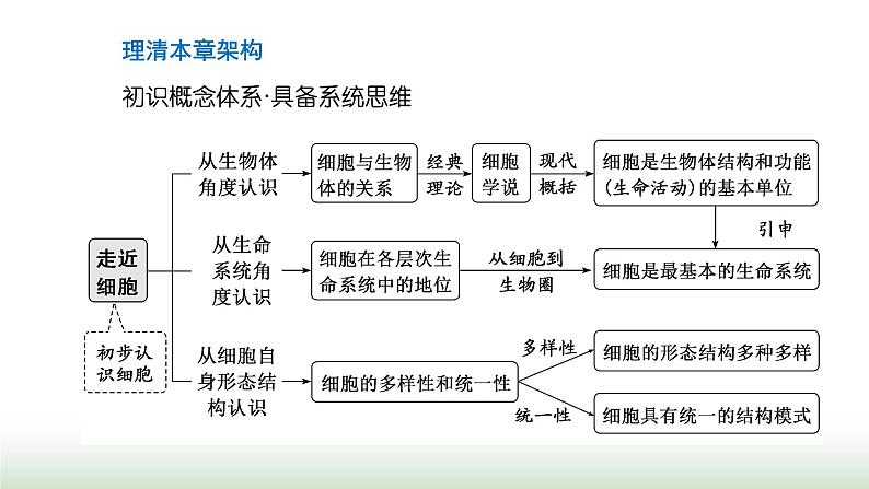 人教版高中生物必修1第1章走近细胞第1节细胞是生命活动的基本单位课件03