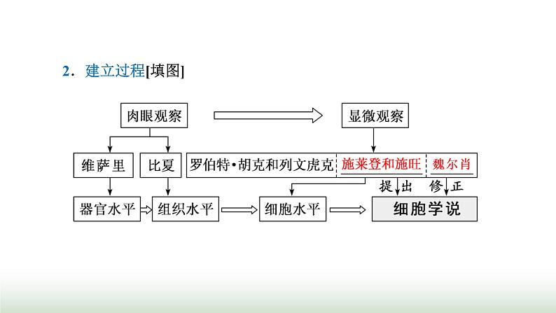 人教版高中生物必修1第1章走近细胞第1节细胞是生命活动的基本单位课件07