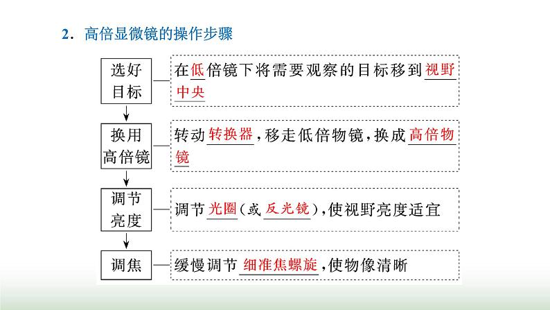 人教版高中生物必修1第1章走近细胞第2节细胞的多样性和统一性课件03