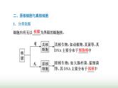 人教版高中生物必修1第1章走近细胞第2节细胞的多样性和统一性课件