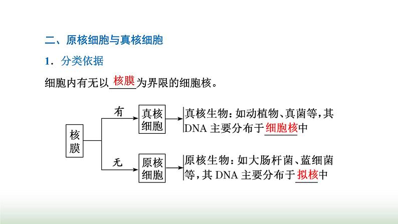 人教版高中生物必修1第1章走近细胞第2节细胞的多样性和统一性课件04