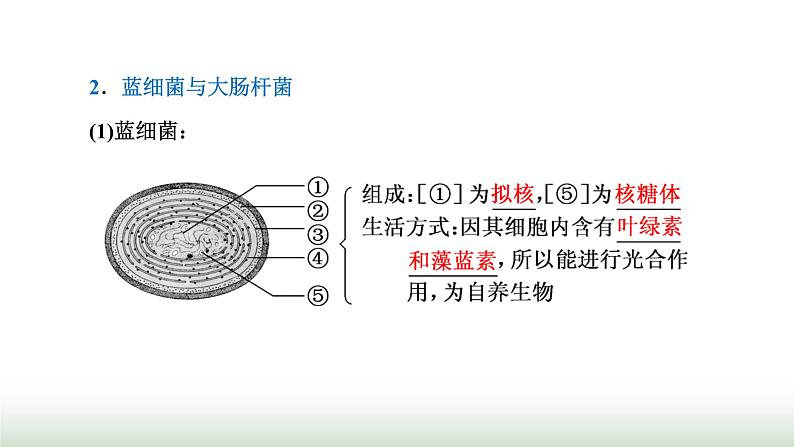 人教版高中生物必修1第1章走近细胞第2节细胞的多样性和统一性课件05