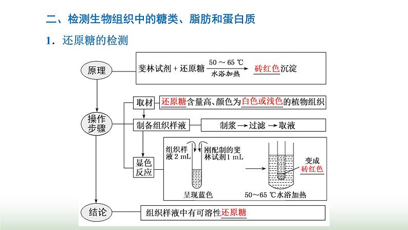 人教版高中生物必修1第2章组成细胞的分子第1节细胞中的元素和化合物课件07