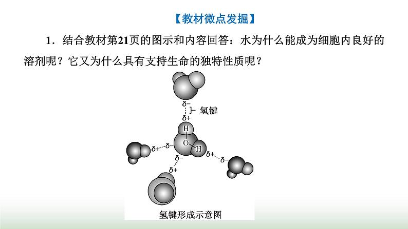 人教版高中生物必修1第2章组成细胞的分子第2节细胞中的无机物课件07