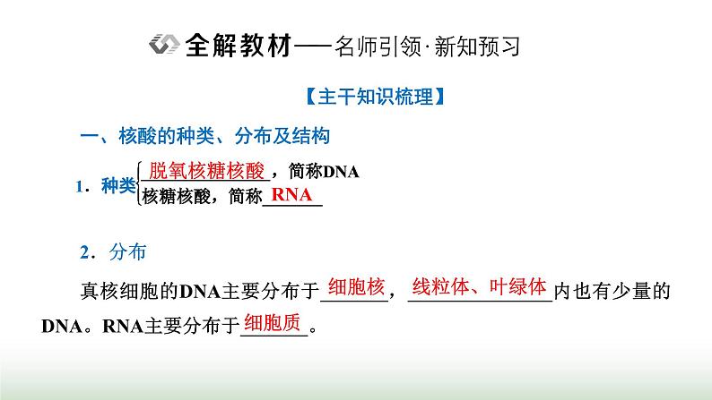 人教版高中生物必修1第2章组成细胞的分子第5节核酸是遗传信息的携带者课件第2页