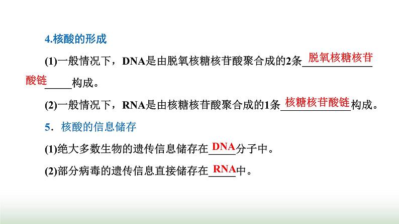 人教版高中生物必修1第2章组成细胞的分子第5节核酸是遗传信息的携带者课件第4页