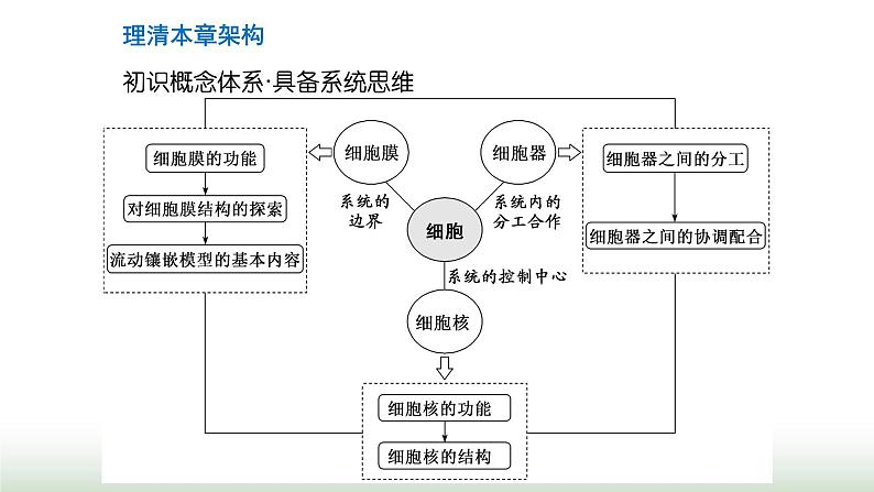 人教版高中生物必修1第3章细胞的基本结构第1节细胞膜的结构和功能课件第3页