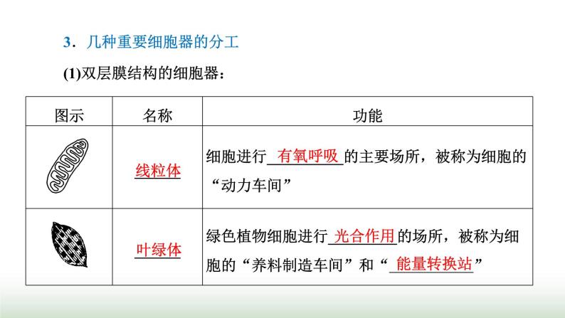 人教版高中生物必修1第3章细胞的基本结构第2节第1课时细胞器之间的分工课件04