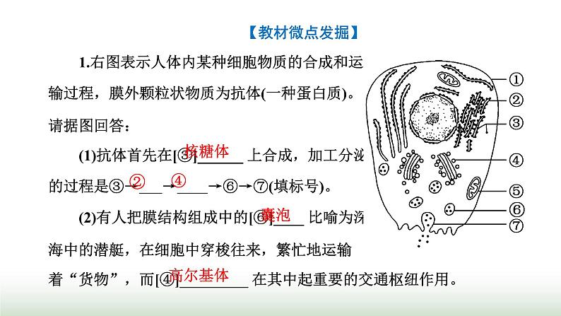 人教版高中生物必修1第3章细胞的基本结构第2节第2课时细胞器之间的协调配合课件第7页