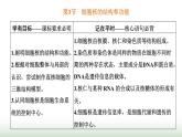 人教版高中生物必修1第3章细胞的基本结构第3节细胞核的结构和功能课件