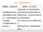 人教版高中生物必修1第3章细胞的基本结构第3节细胞核的结构和功能课件
