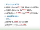 人教版高中生物必修1第3章细胞的基本结构第3节细胞核的结构和功能课件