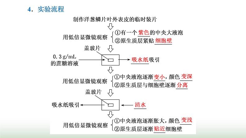 人教版高中生物必修1第4章细胞的物质输入和输出第1节第2课时探究植物细胞的吸水和失水与被动运输课件03