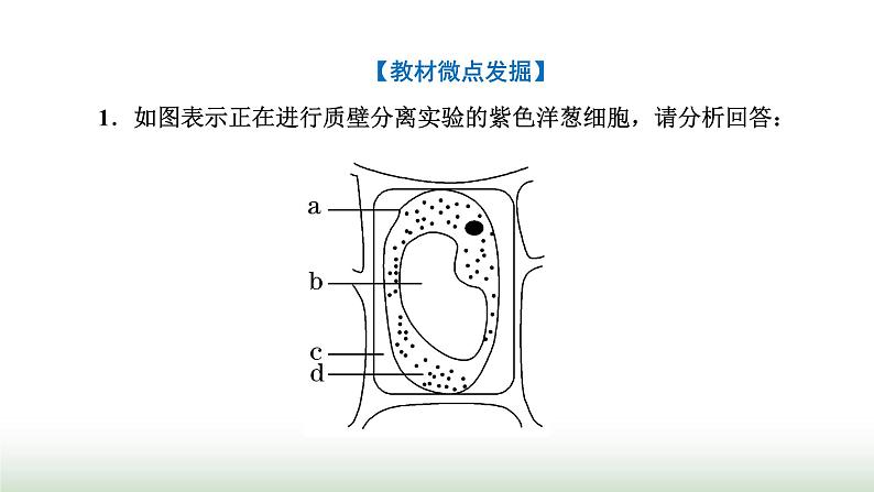 人教版高中生物必修1第4章细胞的物质输入和输出第1节第2课时探究植物细胞的吸水和失水与被动运输课件06