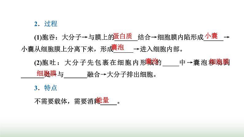 人教版高中生物必修1第4章细胞的物质输入和输出第2节主动运输与胞吞、胞吐课件04