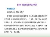 人教版高中生物必修1第5章细胞的能量供应和利用第1节第1课时酶的作用和本质课件